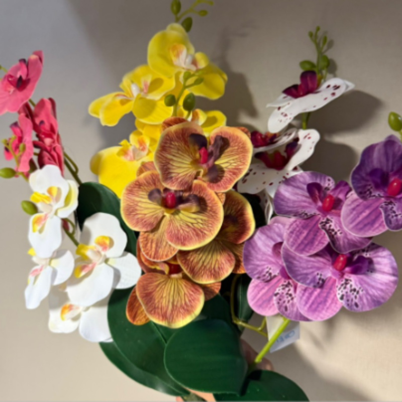 Conjunto de Orquídeas 35cm