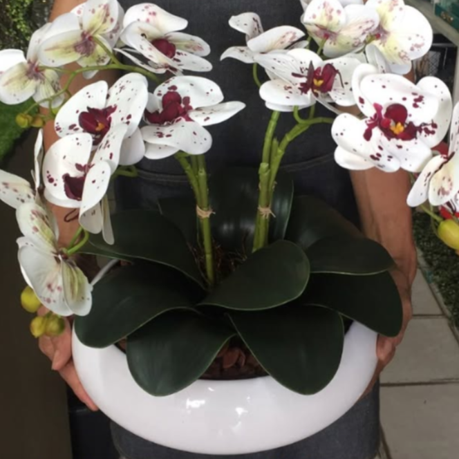 Planta com Vaso 40cm