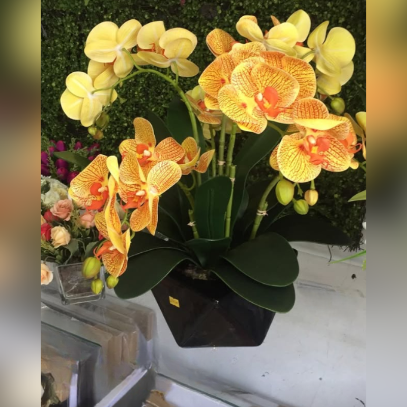 Planta com Vaso 50cm