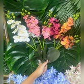 Conjunto de Orquídeas 35cm