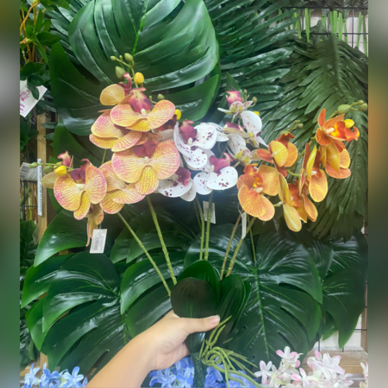 Conjunto de Orquídeas 35cm