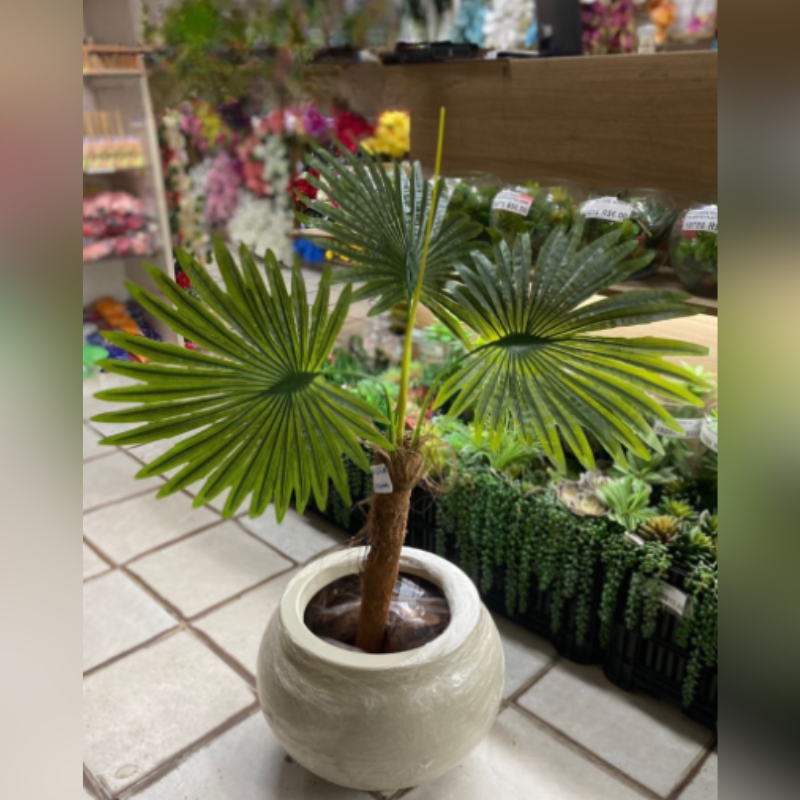 Planta com Vaso 1 Metro