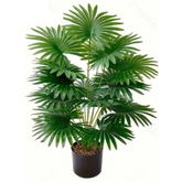 Planta com Vaso 68cm